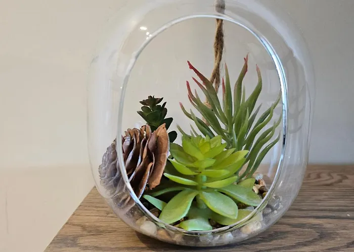 Downтown - Free Parking Daire Varna